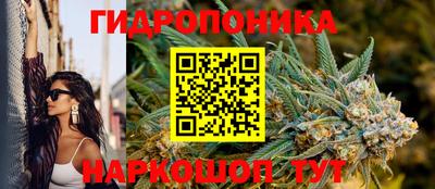 spice Волжск