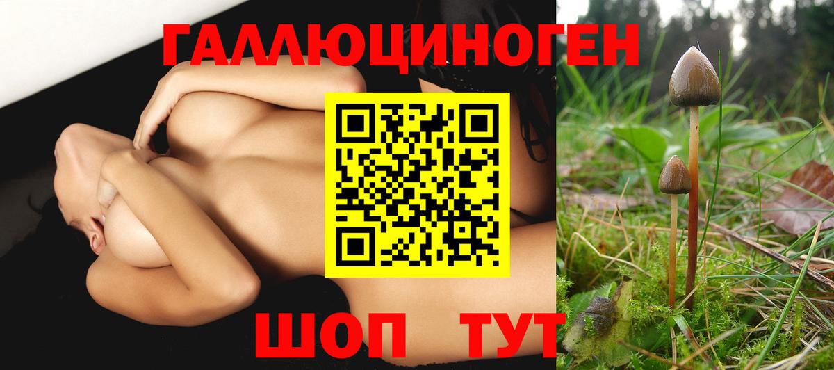 Псилоцибиновые грибы Psilocybe  Вход с VPN  Галлюциногенные грибы Psilocybine cubensis  Мичуринск 